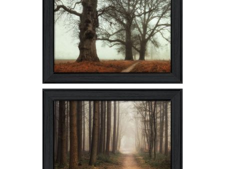 Misty Trees Collection  2-Piece Vignette By Martin Podt, Printed Wall Art, Ready To Hang Framed Poster, Black Frame For Discount