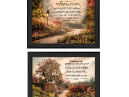 Celebration of Life Collection  2-Piece Vignette By Robin-Lee Vieira, Printed Wall Art, Ready To Hang Framed Poster, Black Frame Online Hot Sale