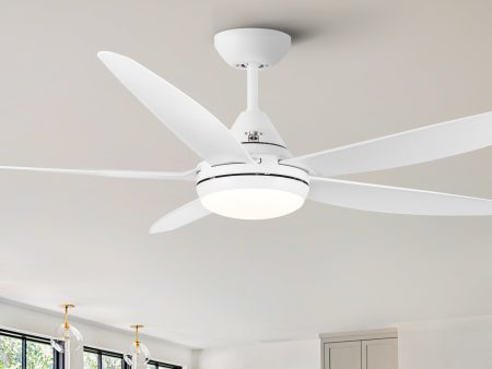 56 In Intergrated LED Ceiling Fan Lighting with White ABS Blade For Sale