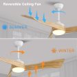 52 Inch Minimalist Ceiling Fan Light With 6 Speed Remote Energy-saving DC Motor Online Hot Sale