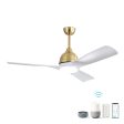 54 Inch Modern ABS Ceiling Fan 6 Speed Remote Control Dimmable Reversible DC Motor With Light and Smart APP Control Online Hot Sale