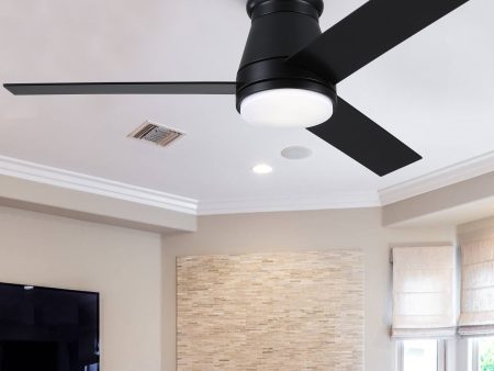 48  Black Lowe Profile Ceiling Fan with Light For Sale