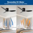 52  Flush Mount Ceiling Fan without light, 3 Reversible Blades, with 6 Speeds Reversible DC Motor,Low Profile Ceiling Fan with no light for Living Room Kitchen Bedroom For Discount