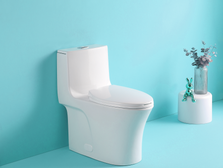 1.1 1.60 GPF Dual-Flush One Piece Toilet, Water-Saving Elongated Comfort Height Floor Mounted, Soft Closing Seat, 1000 Gram Map Flushing Score Toilet, Gloss White 23T02-GW Discount