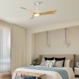 52 Inch Minimalist Ceiling Fan Light With 6 Speed Remote Energy-saving DC Motor Online Hot Sale